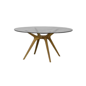 MESA DRONE