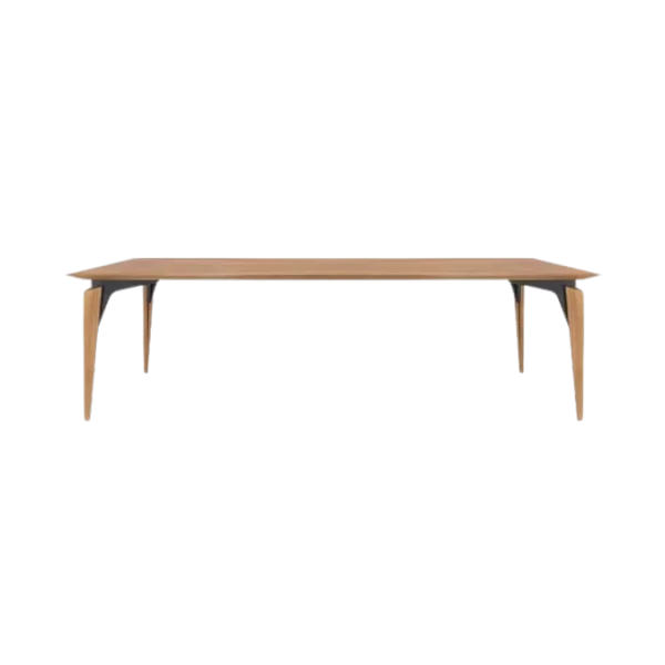 MESA NEO